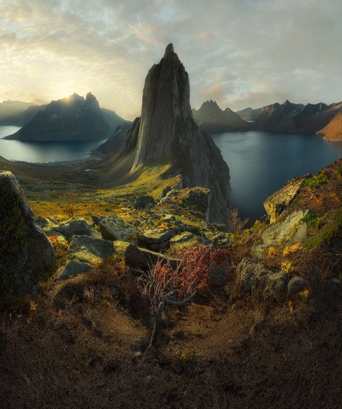 Hesten фото превью