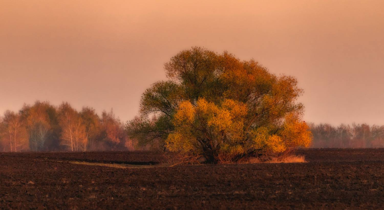 , Подосинников Максим