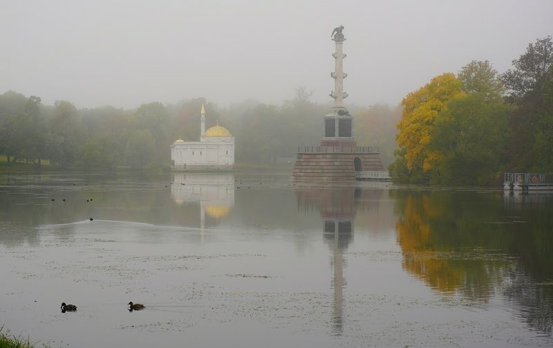 Foggy morning фото превью
