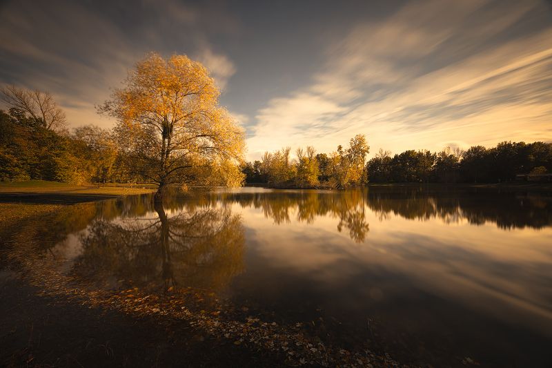 Autumn фото превью