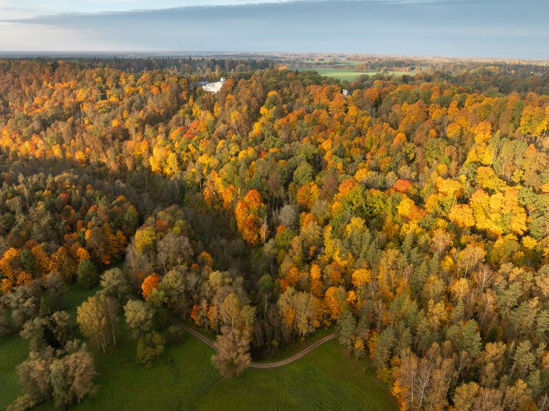 Осень золотая фото превью