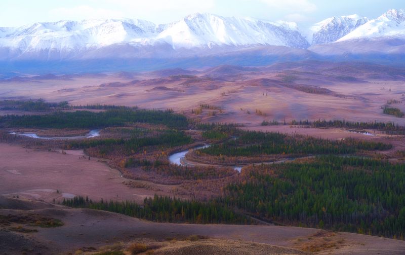 алтай горы лес утро пейзаж красивый излучины река Меандры фото превью