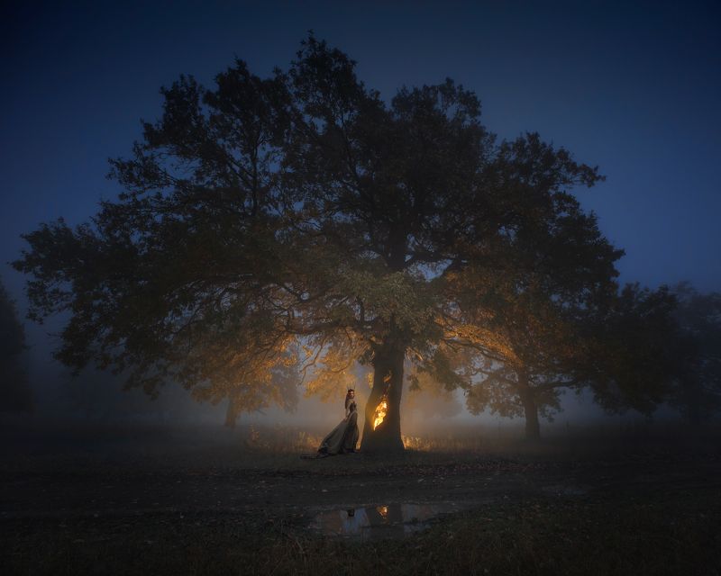 октябрь, старый дуб, дубовая роща дубки Старый дуб фото превью