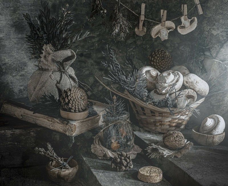 с грибами фото превью