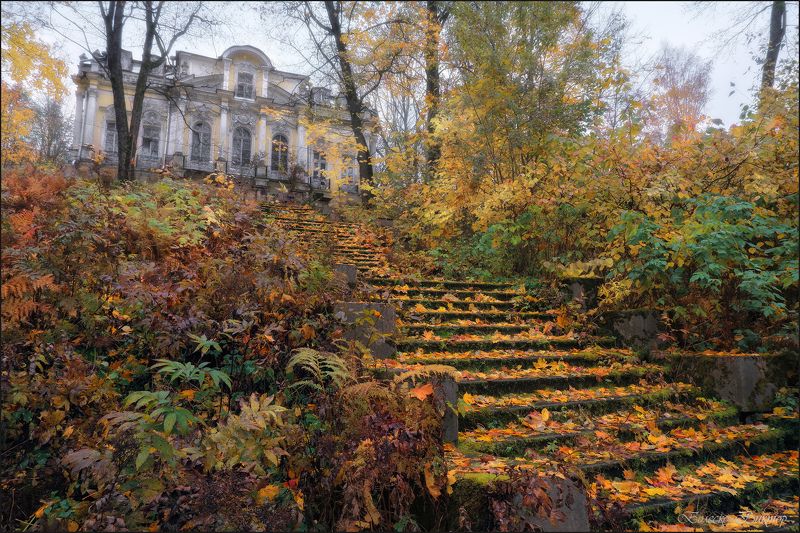 Осенняя сказка фото превью