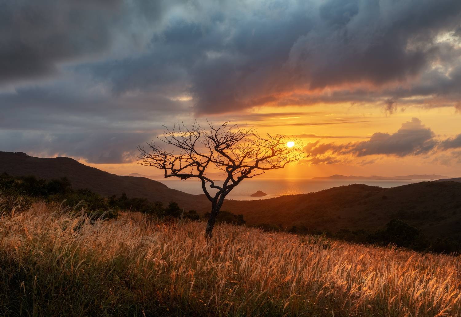 Приморье, Юрий