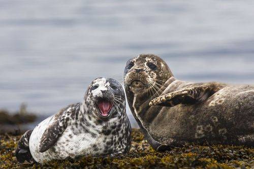 Вон там, человек