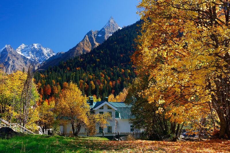 домбай, кчр, теберда, горы, гоначхир Осень в Домбае фото превью
