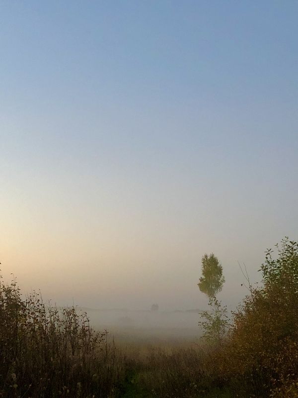 Туман фото превью