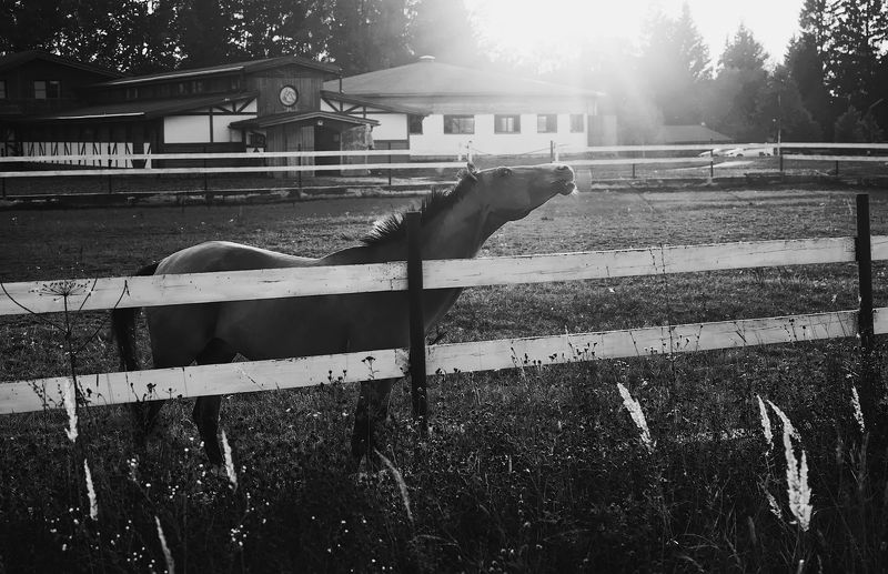 до завтра,  день уходящий! фото превью