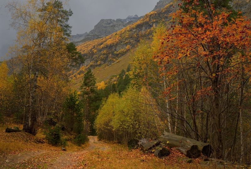 Осень в Узунколе фото превью