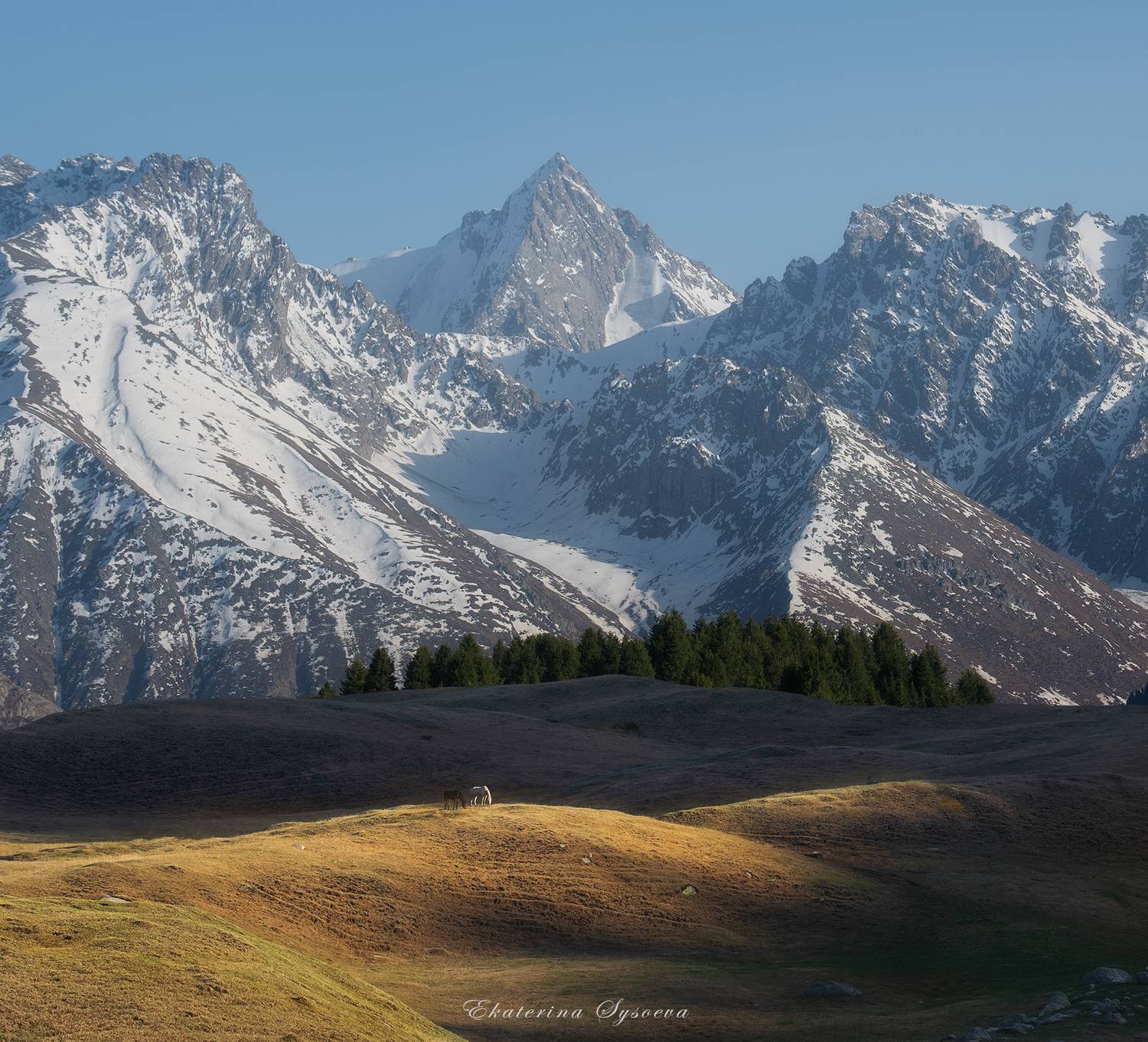 Кыргызстан, Киргизия, фототур в Киргизию, Екатерина Сысоева