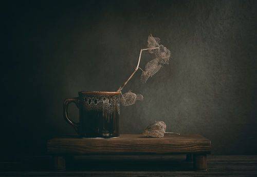 Сушеный физалис из пустой чашки..