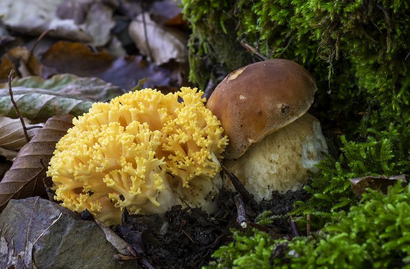 Сладкая парочка фото превью