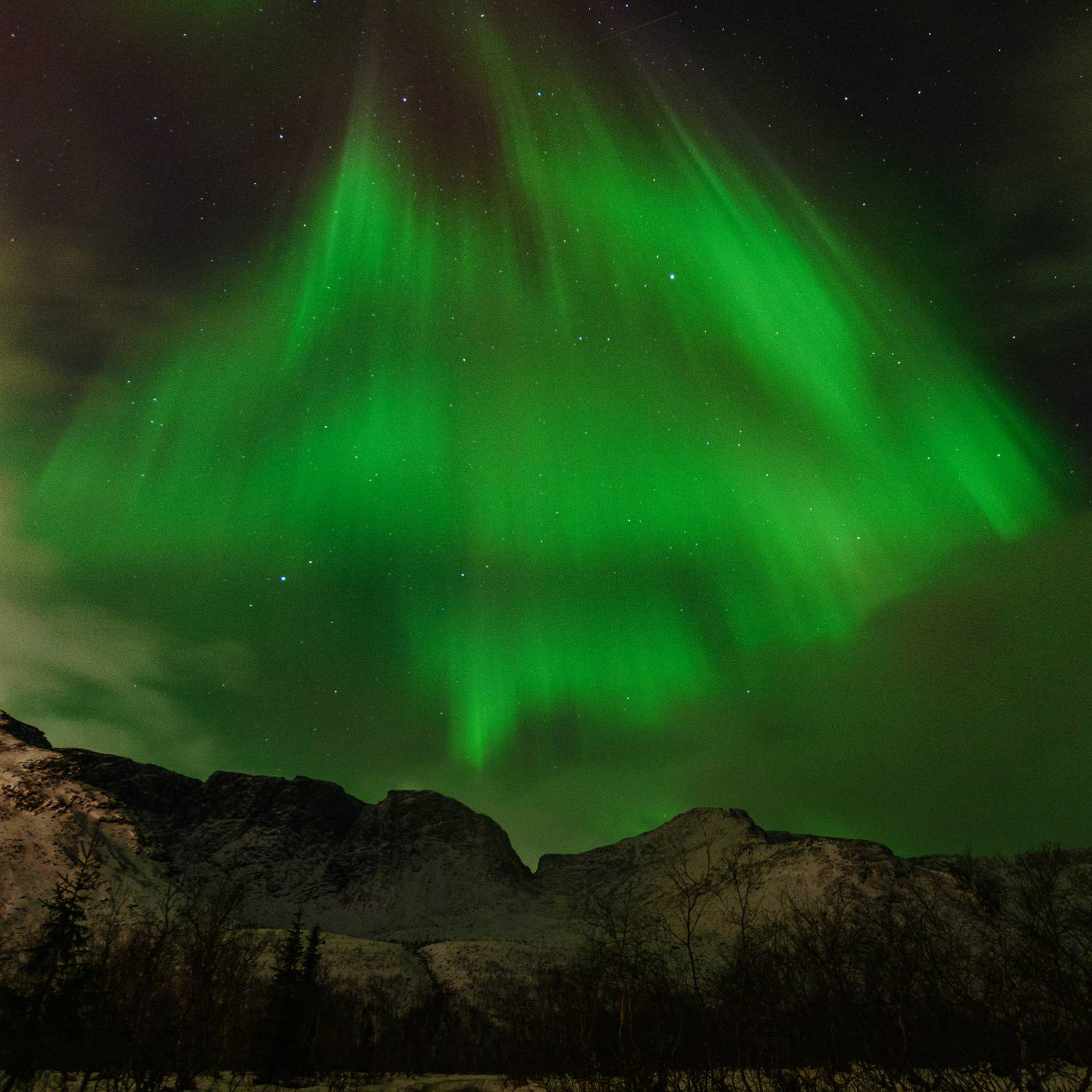 , Ян Сурогин