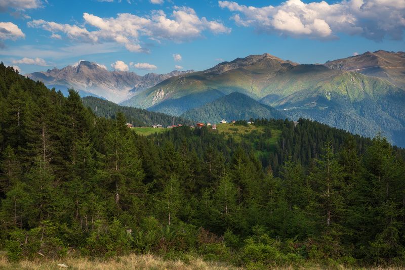 Хорошо в деревне летом... фото превью