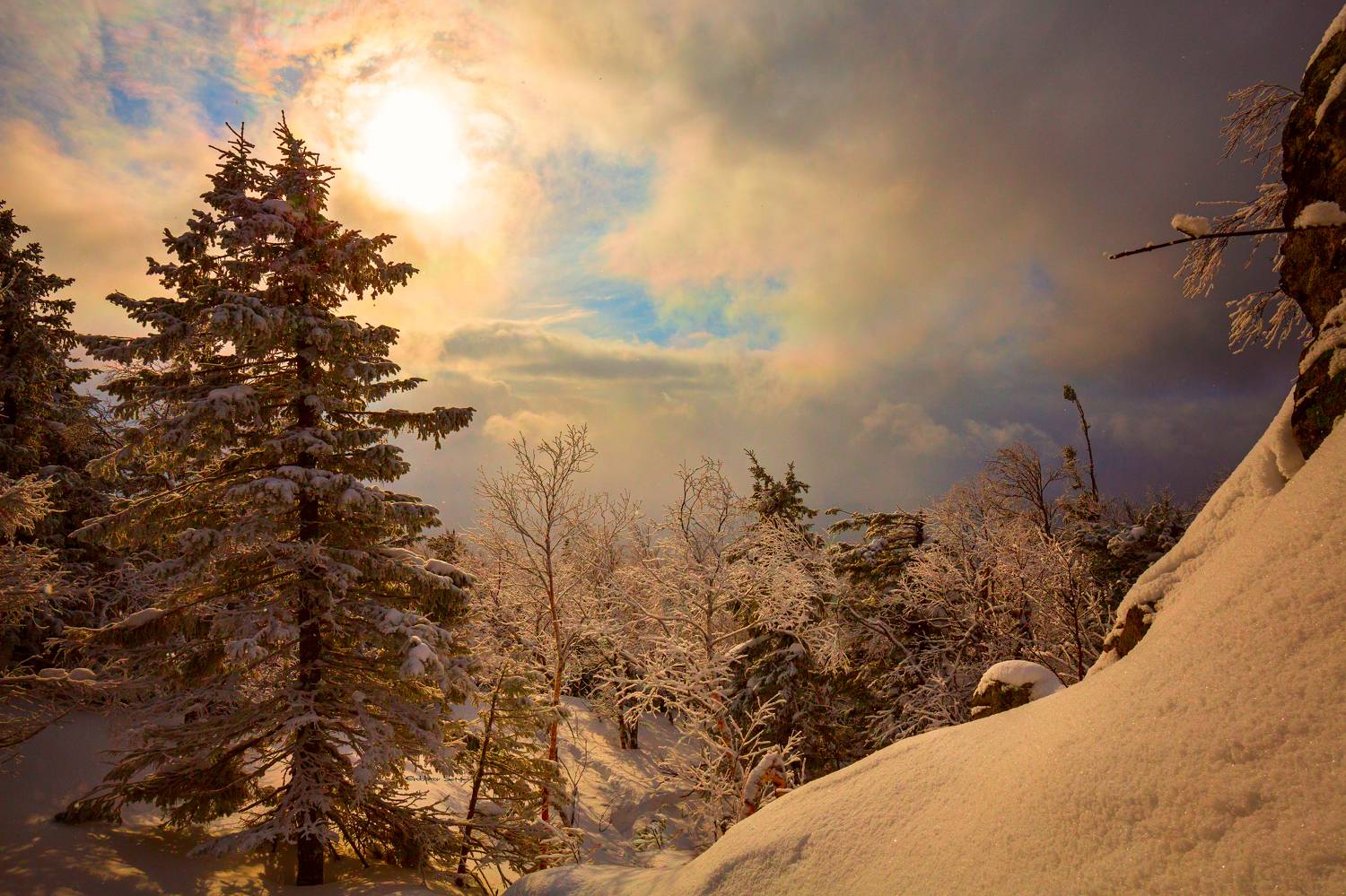 , Евдокимов Сергей