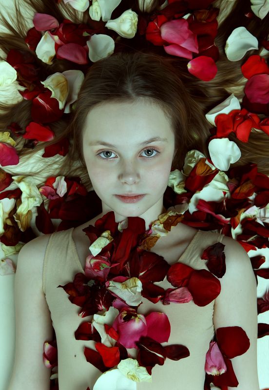 В лепестках роз фото превью
