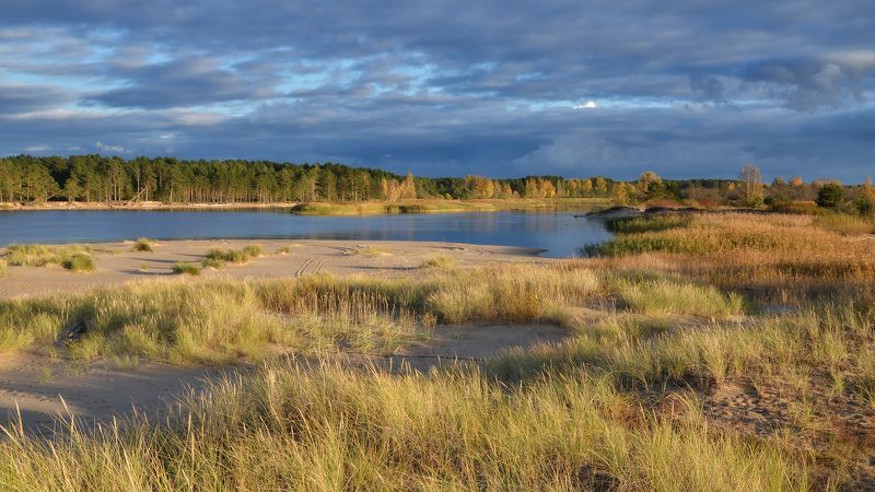 Снова осень... фото превью