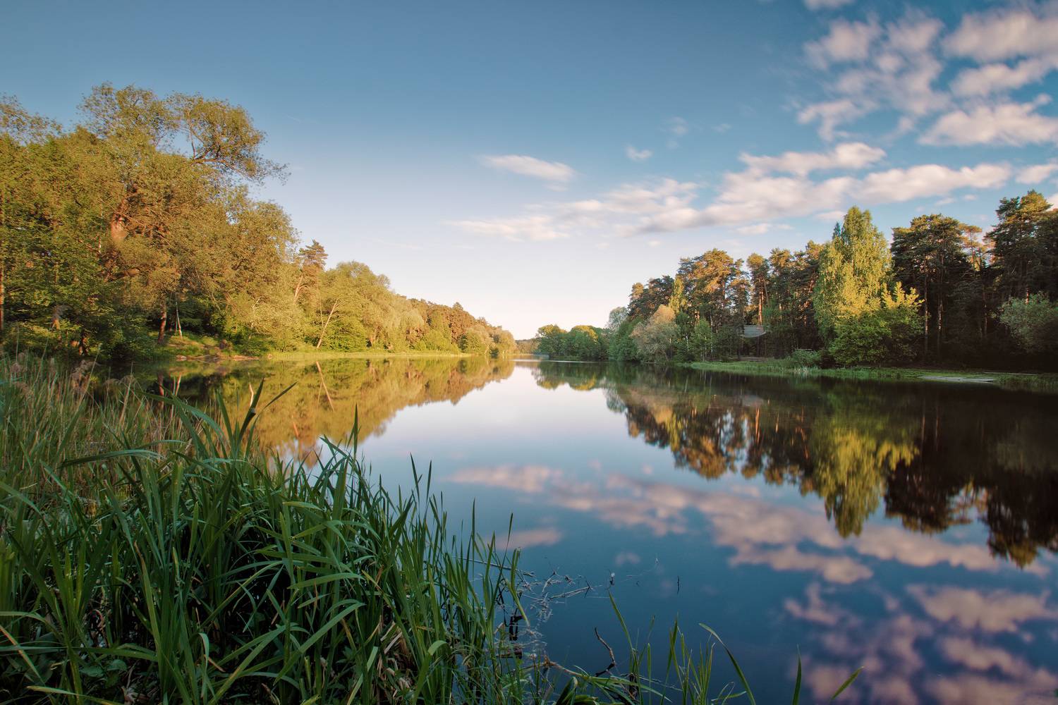 лес, озеро, отражения, Валерий Вождаев