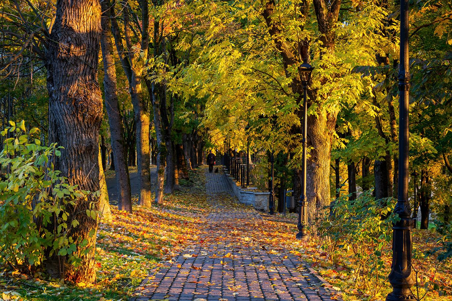 нарва осень октябрь утро парк темный сад, Сергей Четвертной
