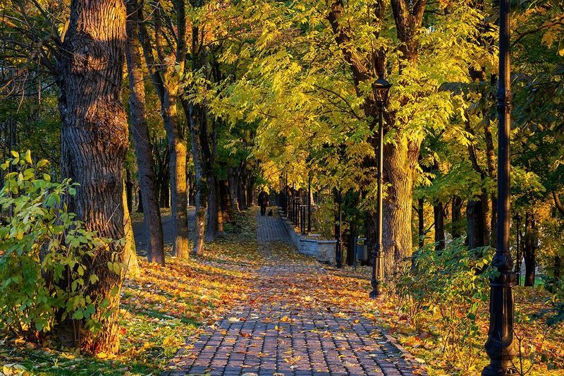 нарва осень октябрь утро парк темный сад Утро в Нарве фото превью