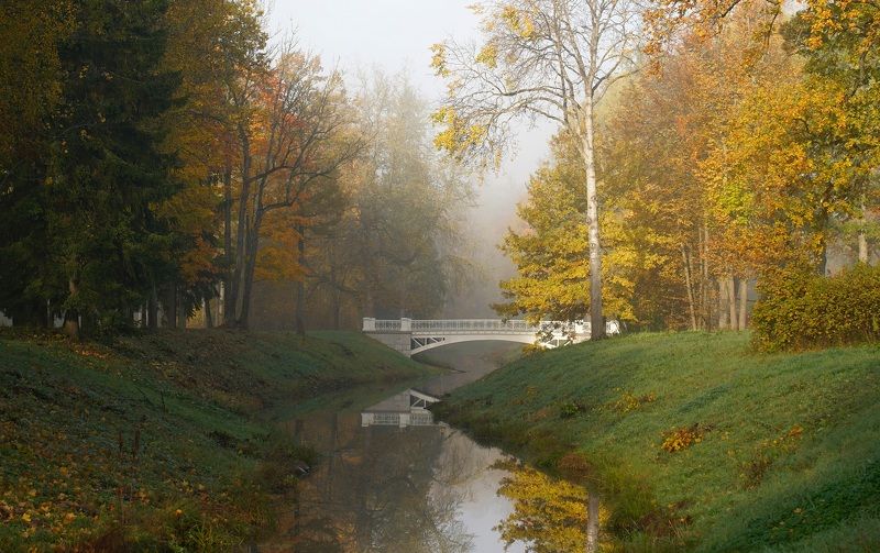 Morning in October фото превью