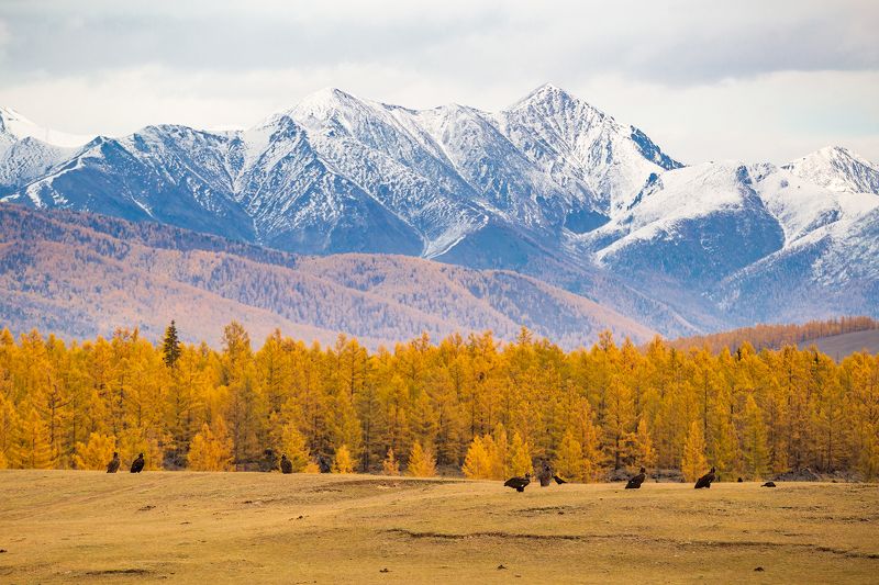 респ. Бурятия. Окинский район. фото превью