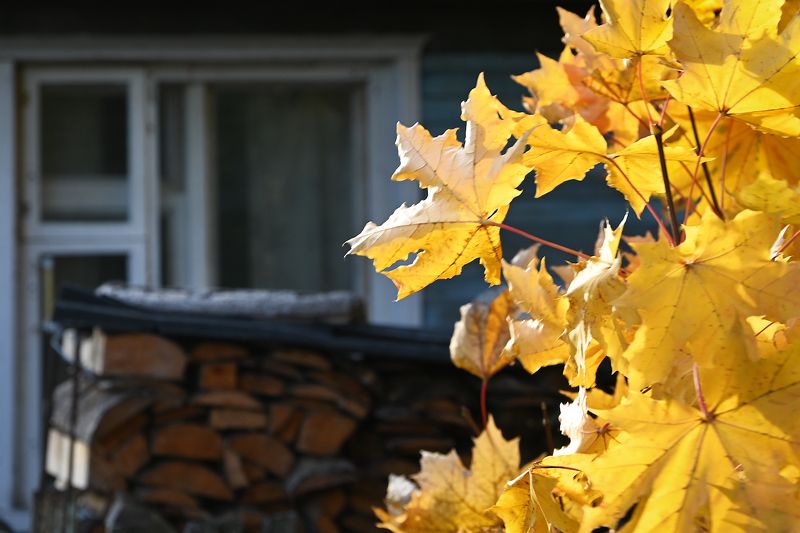 Осенние окна фото превью