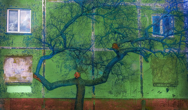 The story of the wooden tree фото превью