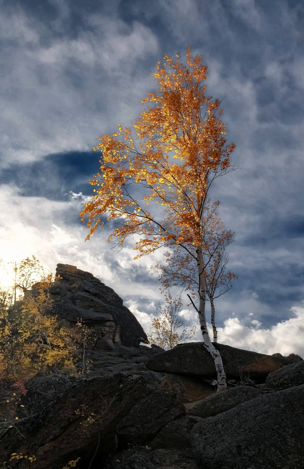 столбы, китайская стенка, осень, непогода, береза, Фомина Марина