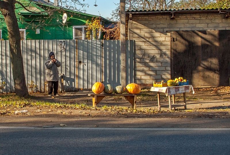 Осенние дары фото превью