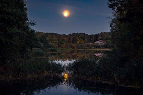 Загадки Пивоваровского озера