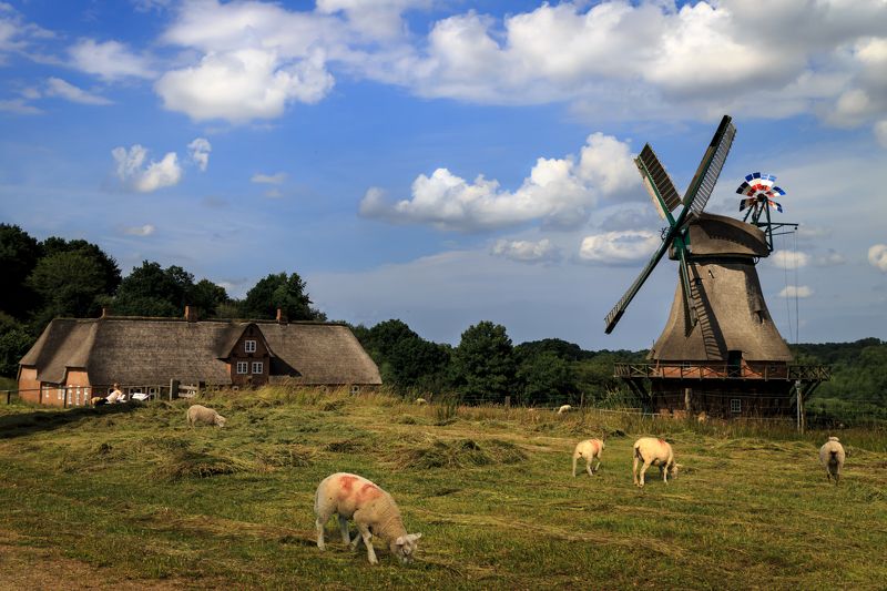 Немецкая пастораль фото превью