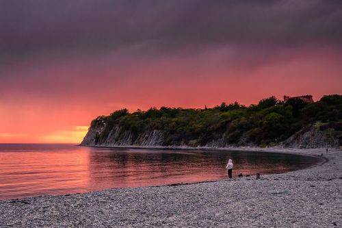 В розовой бухте.