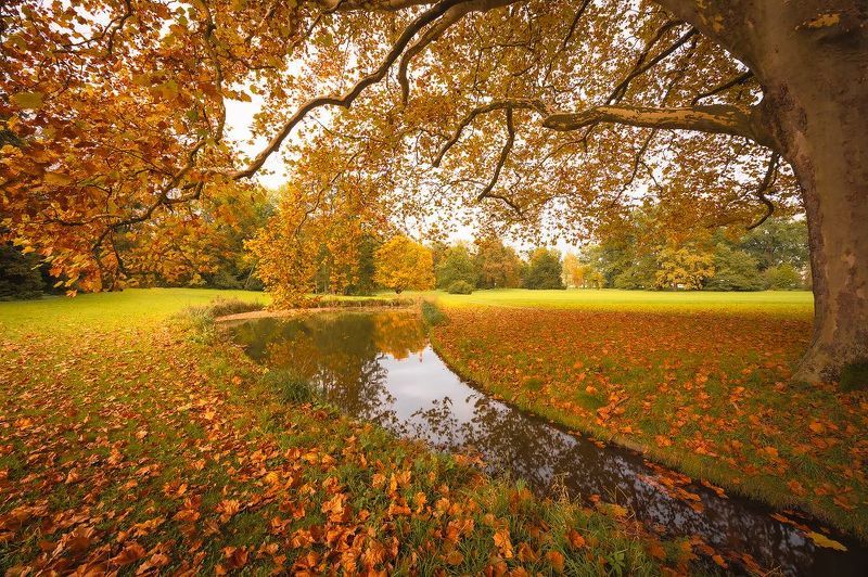 Autumn фото превью