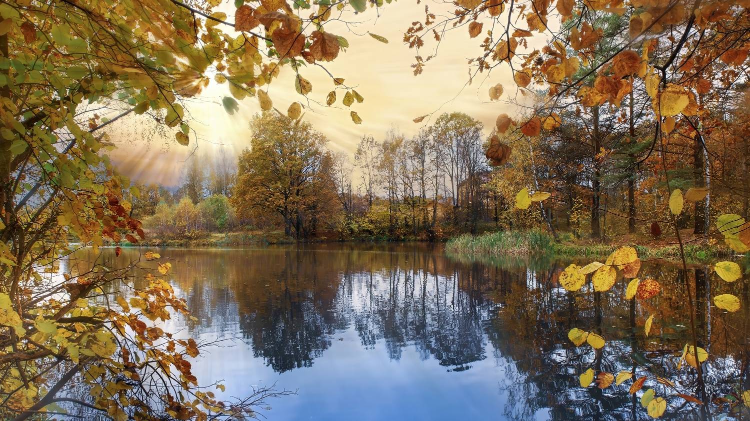 , Людмила Железнова