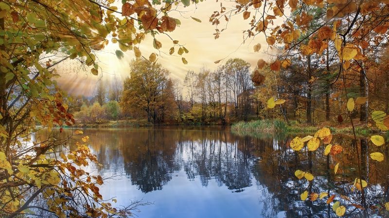 Золотая осень фото превью