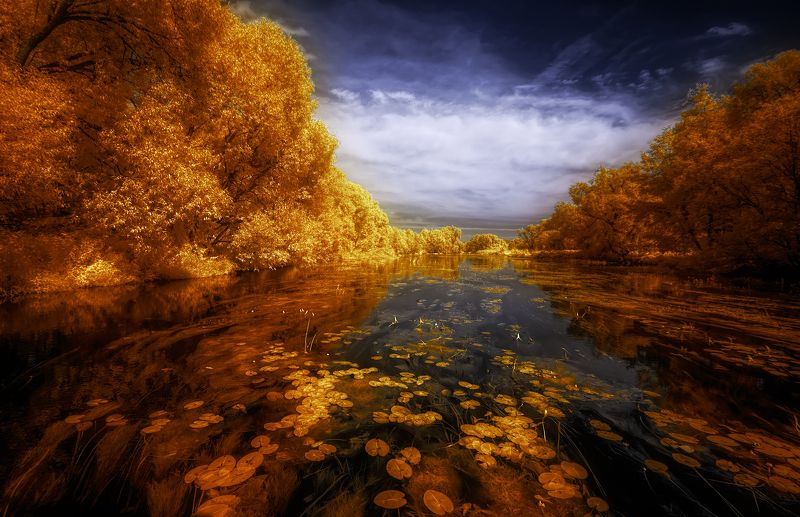 Лето на планете снов фото превью