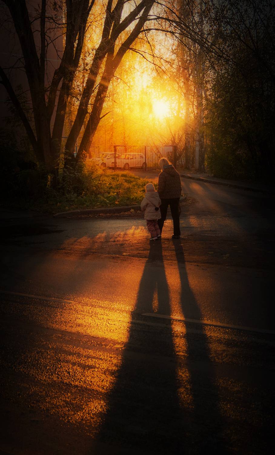 кострома, Елена Рубинская