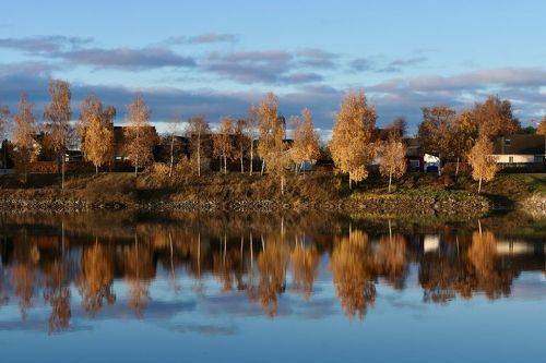 Осеннее настроение