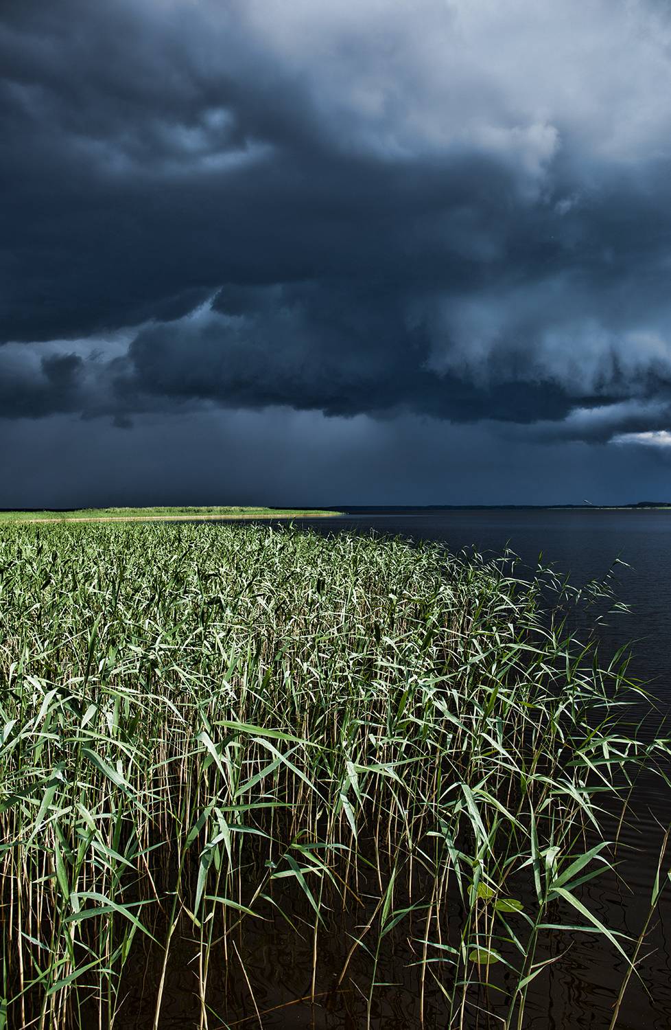 , Александр Смыков