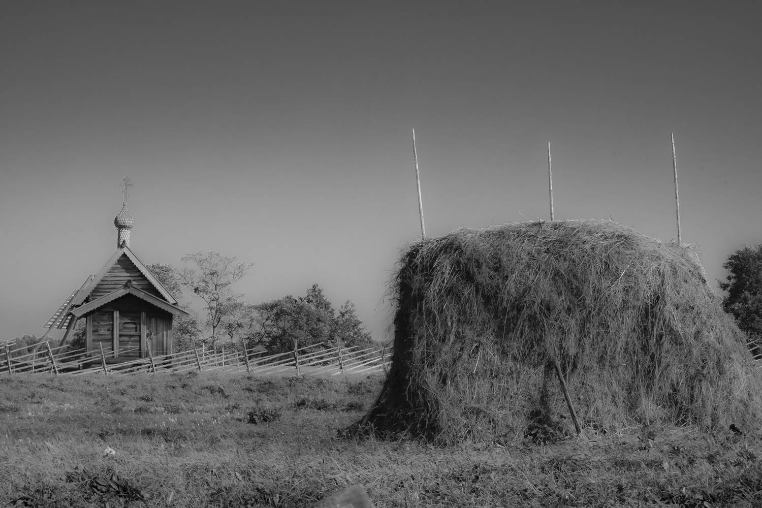 , Бурикова Екатерина