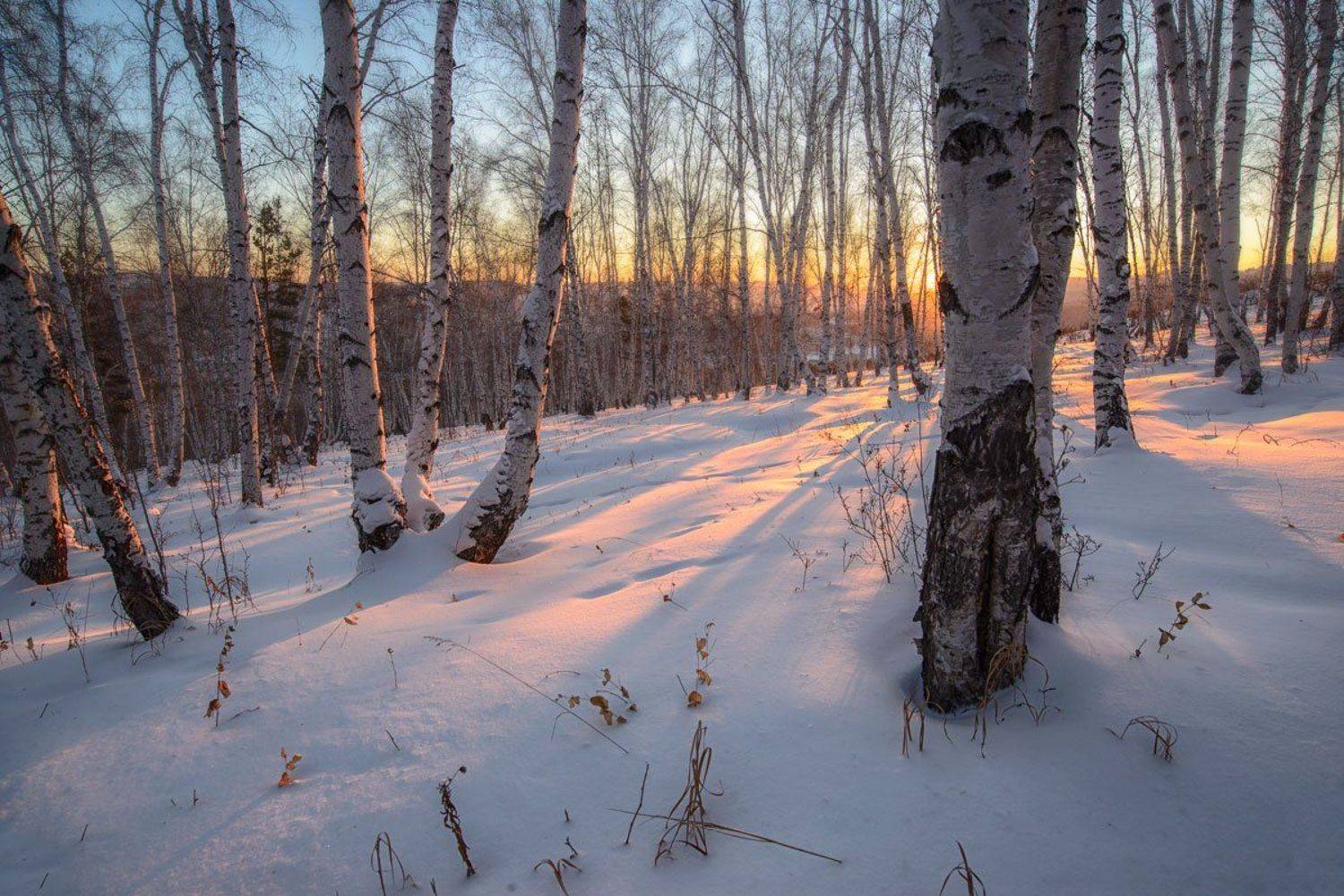 , Сергей Брагин
