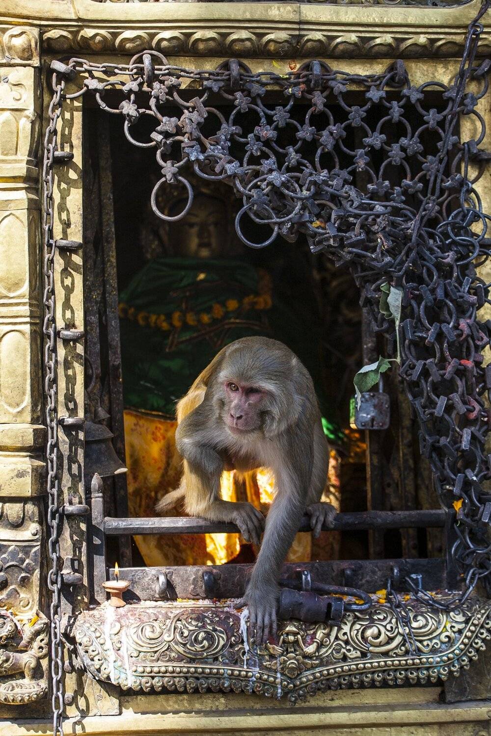 , Виктор Белименко