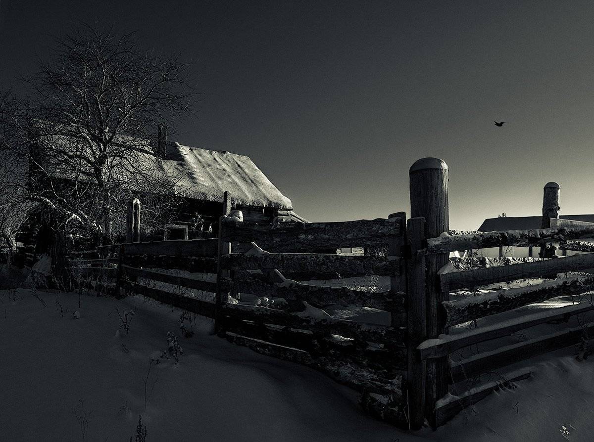 , Александр Поляков