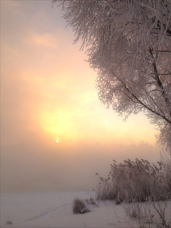 Зима, Мороз, Москва-река, Солнце, Холодно Бодрое утро (-30°) фото превью