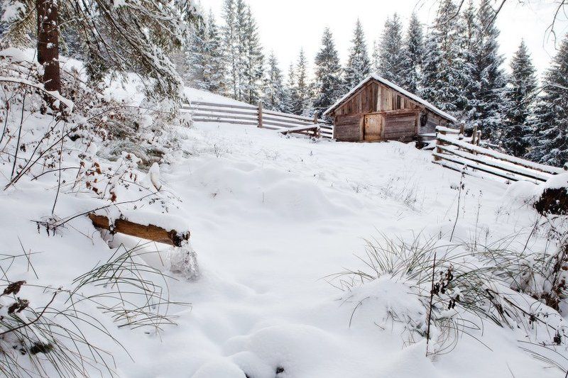 Карпаты, природа, пейзаж, зима, хижина, дом, снег, холод, мороз хижина фото превью