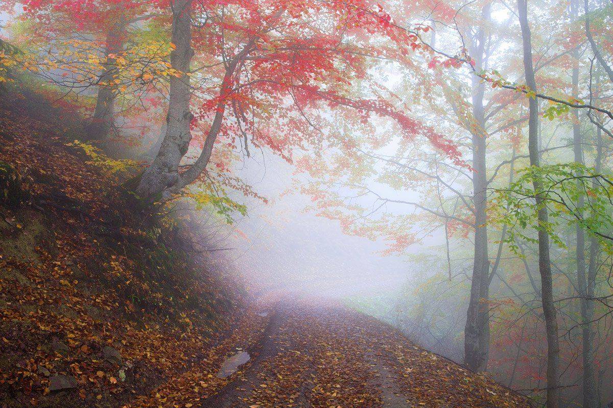 Карпати, Виталий Ра