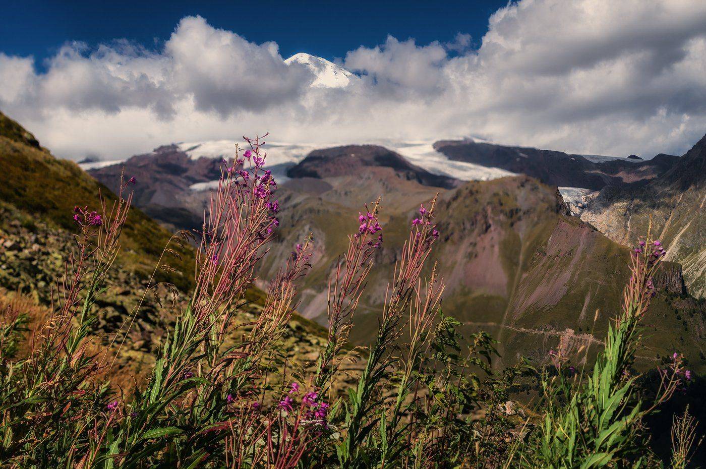 , Игорь Мелекесцев
